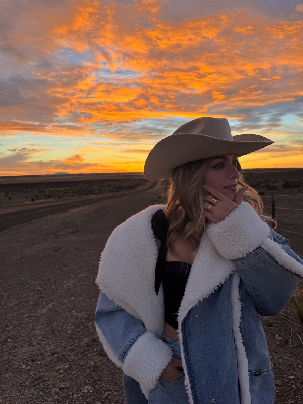 Wrangler Sherpa-Lined Denim Jacket